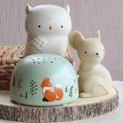 Baby Projector Bosvriendjes - A Little Lovely Company -Kortingswinkel Voor Babyproducten a little lovely company baby projector bosvriendje 6