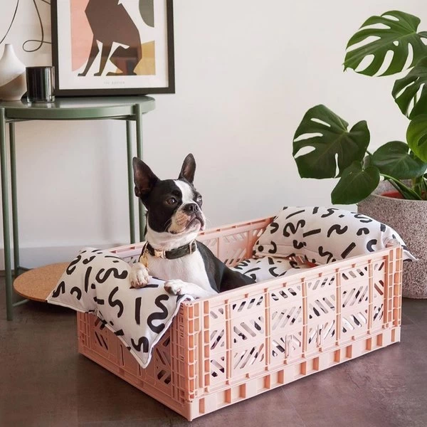 Aykasa Krat Midi - Mustard 5 Aykasa Krat Midi - Mustard - Afbeelding 3