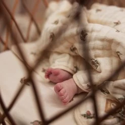 Jollein Deken Hydrofiel Wieg 75x100cm Rosehip -Kortingswinkel Voor Babyproducten jollein jollein deken hydrofiel wieg 75x100cm rose 7