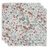 Jollein Hydrofiel Monddoekje Bloom 3pack -Kortingswinkel Voor Babyproducten jollein jollein hydrofiel monddoekje bloom 3pack