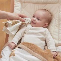 Jollein Hydrofiel Monddoekje Teddy Bear 3pack -Kortingswinkel Voor Babyproducten jollein jollein hydrofiel monddoekje teddy bear 3p 2