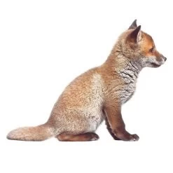 Kek Amsterdam Muursticker Forest Friends Vosje