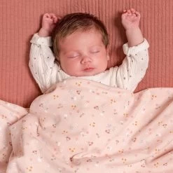 Little Dutch Hoes Autostoeltje 0+ Pure Pink Blush -Kortingswinkel Voor Babyproducten little dutch little dutch hoes autostoeltje 0 pure 5